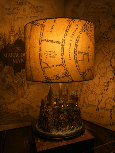 Lizensierte harry potter - harry,